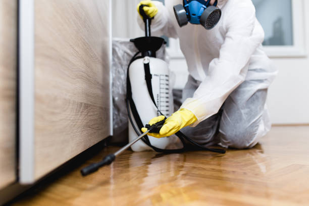 Best Affordable Pest Control Services  in Henderson, NV