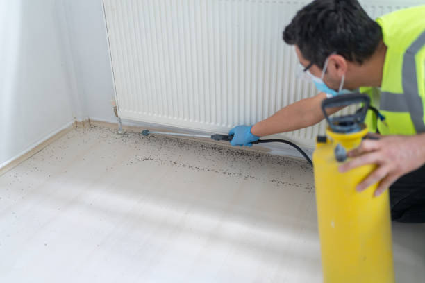  Henderson, NV Pest Control Pros