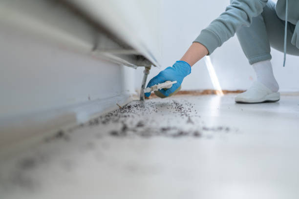 Professional Pest Control in Henderson, NV